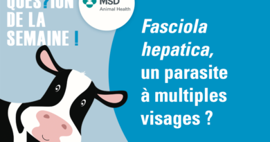Fasciola hepatica, un parasite à multiples visages ?