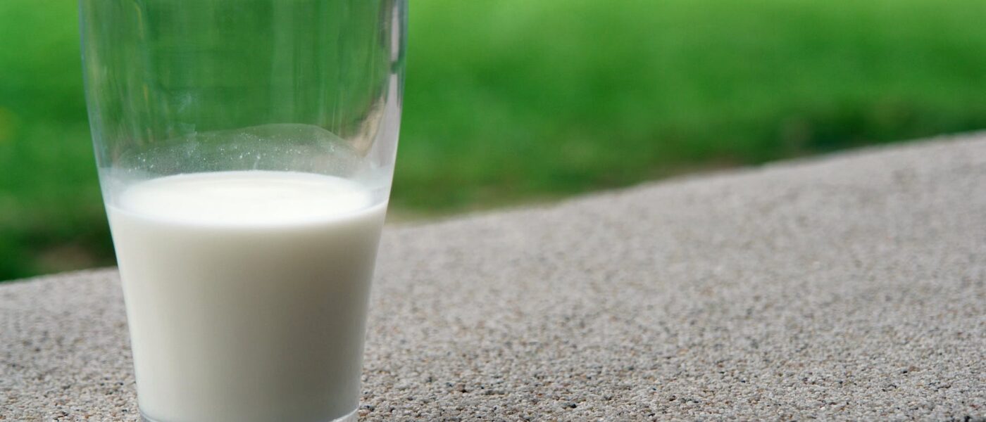 blur calcium close up dairy