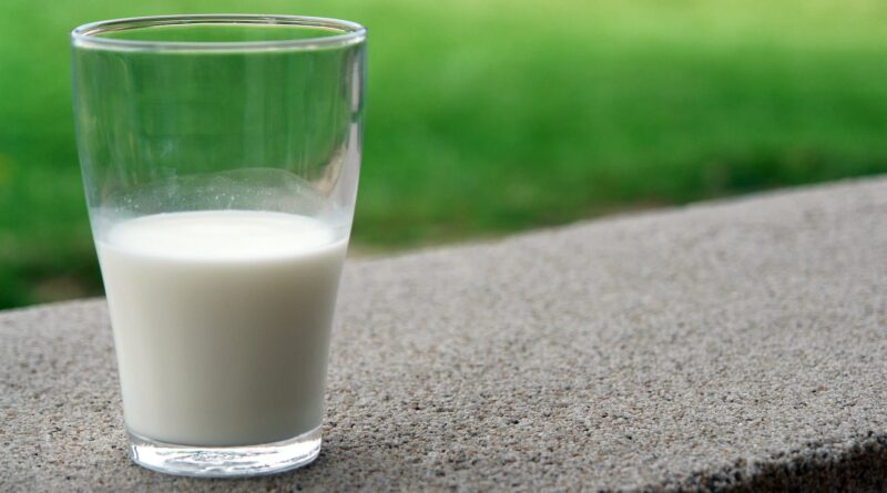 blur calcium close up dairy